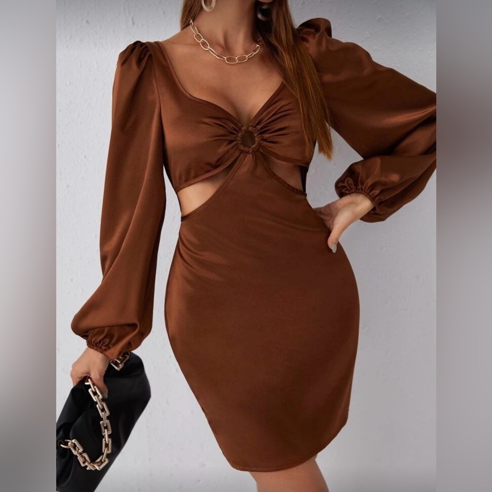 SHEIN Chic Brown Long Sleeve Dress